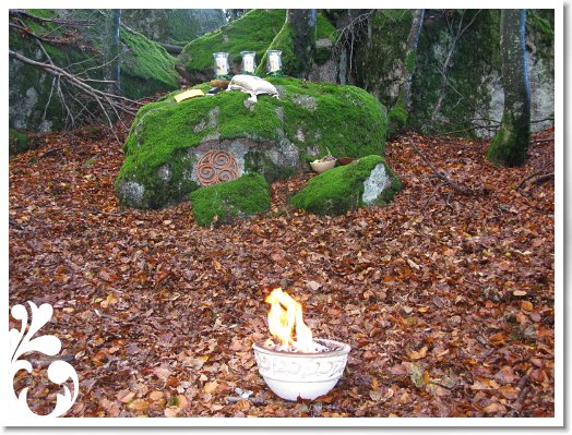 Bild 2210